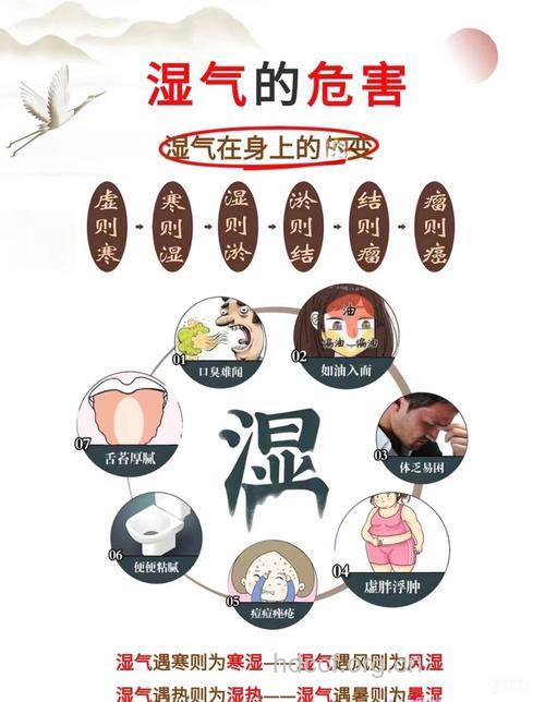 女人体内湿气重的危害竟这么大