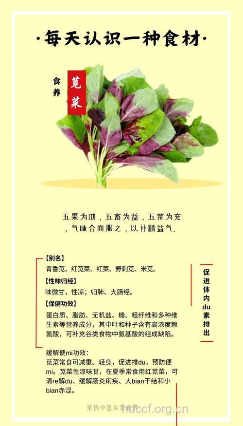 苋菜能抗癌 吃四种蔬菜有效防乳腺癌