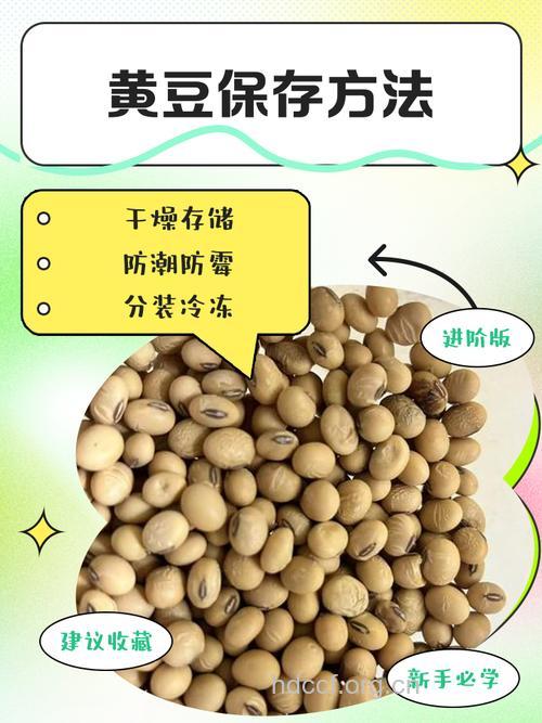 女性要如何保存年轻 记得多吃黄豆