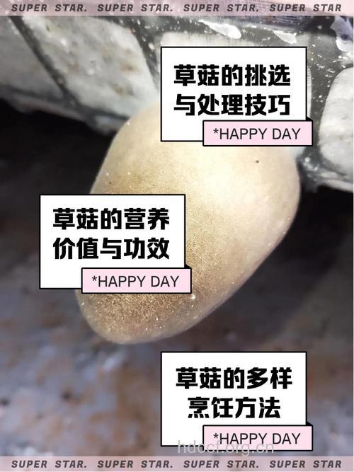 乳腺癌预防 吃草菇能预防乳腺癌吗