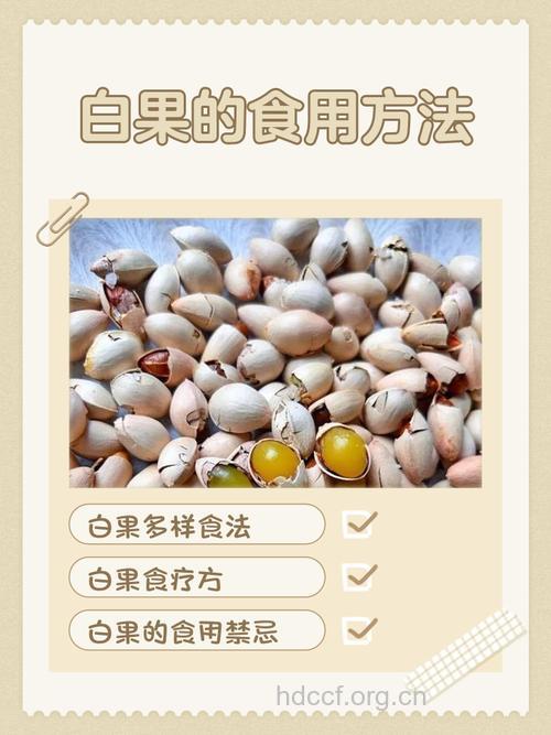 女人吃白果的好处 白果的营养价值