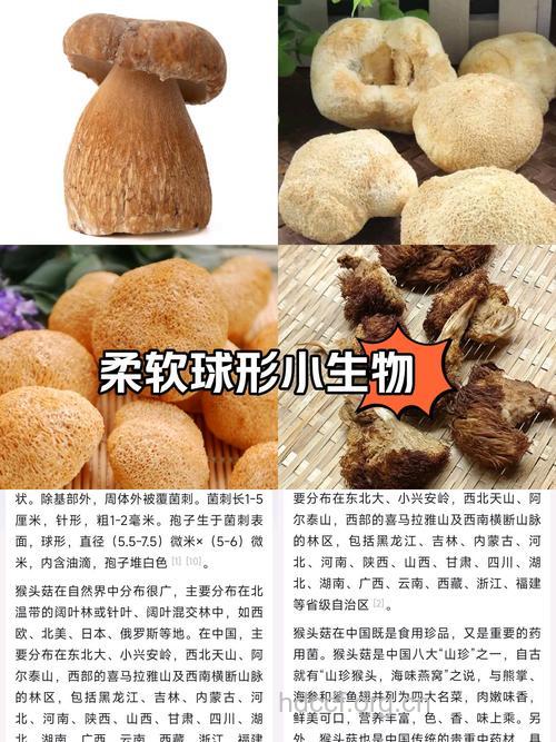 乳腺癌化疗期间能吃猴头菇吗