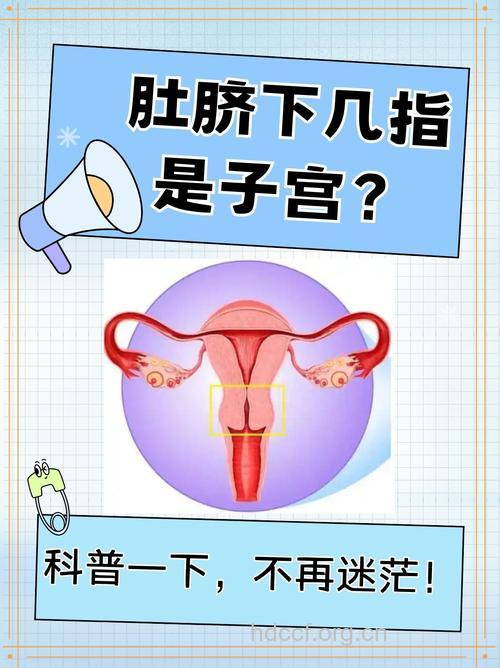 你的盆腔健康吗?盆腔健康主要看4点