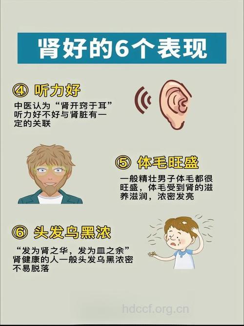 头发颜色看出肾脏疾病