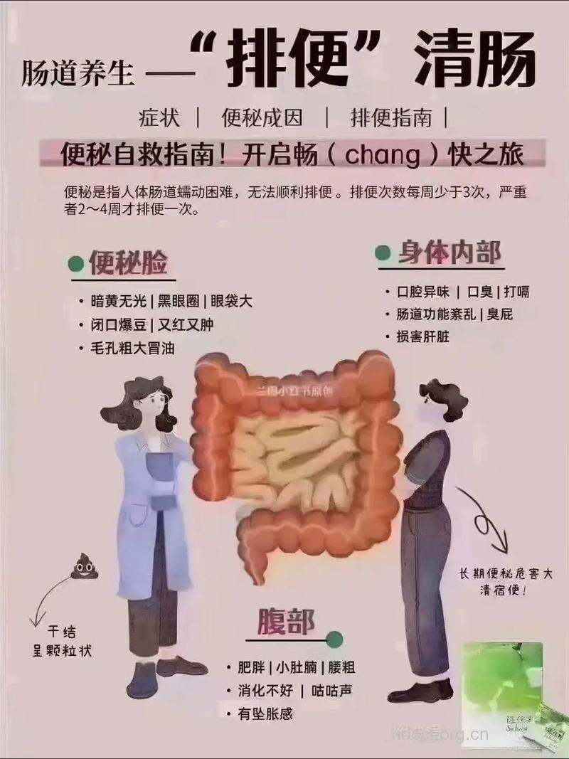 便秘为什么会导致乳腺癌