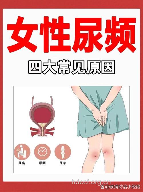 7个原因揭秘女性尿频尿急