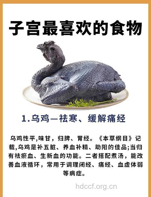 常吃这些食物有效保护子宫