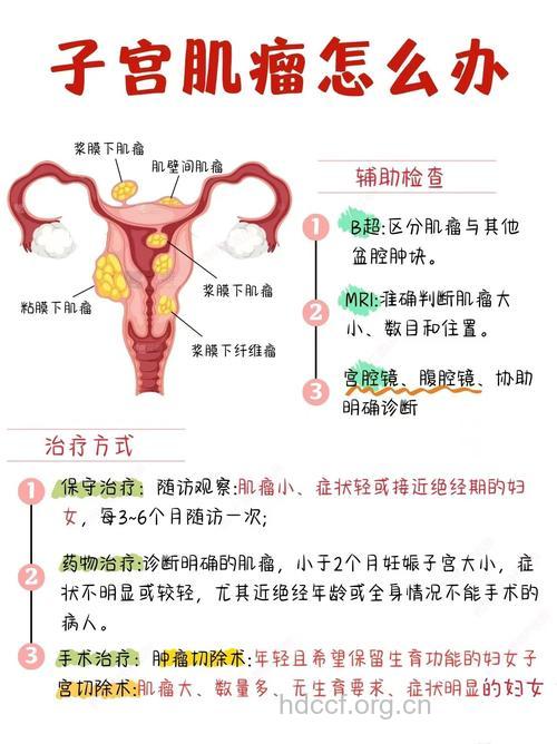 子宫肌瘤对女性造成什么危害