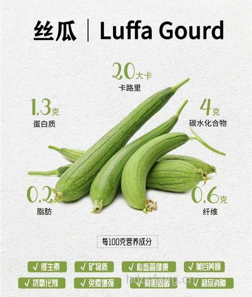 夏季吃什么好?女性夏季吃丝瓜好处多