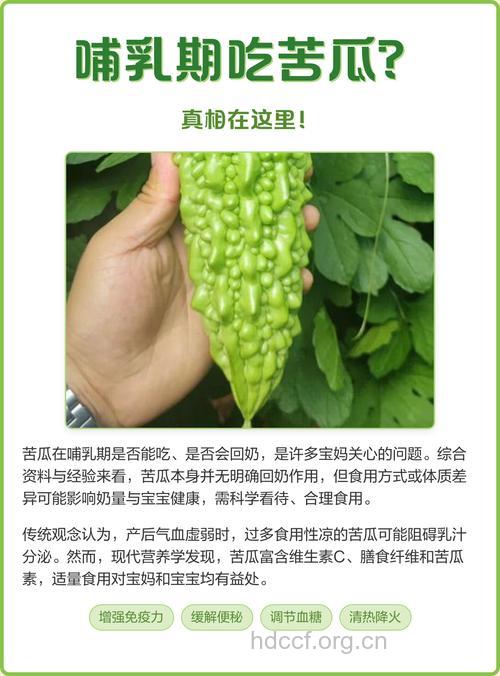 女性哺乳期能吃苦瓜吗 夏季吃苦瓜好处多
