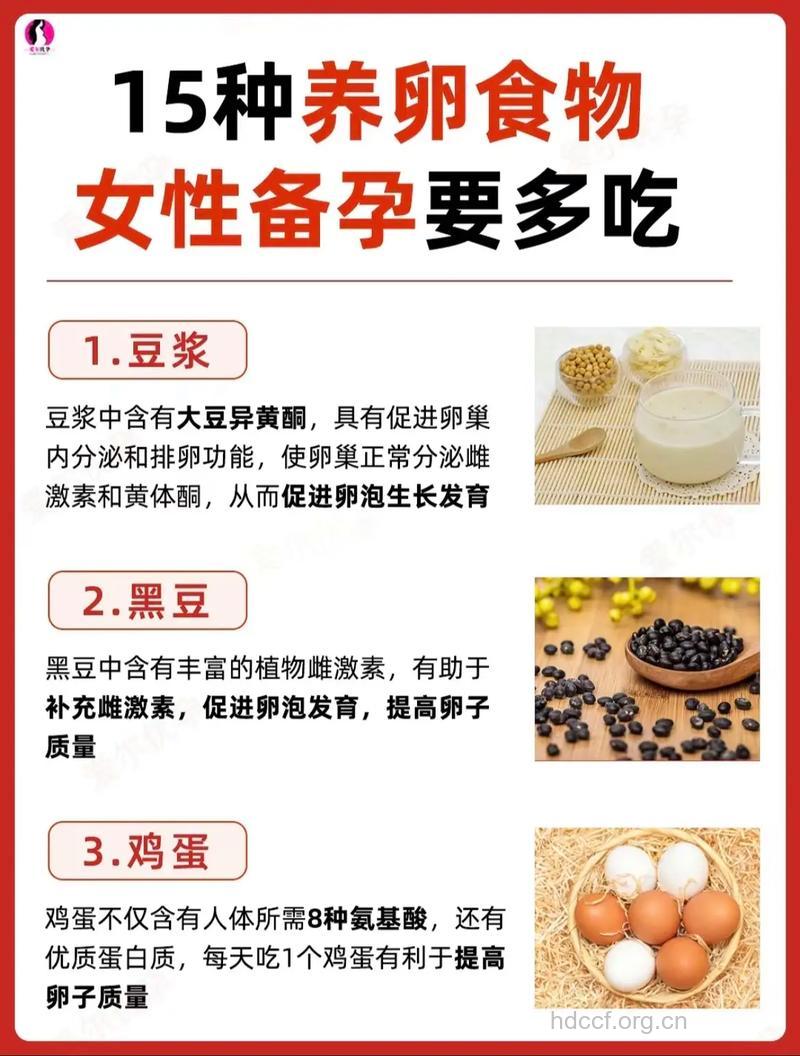 女人怎么保护卵子质量 常吃这些食物