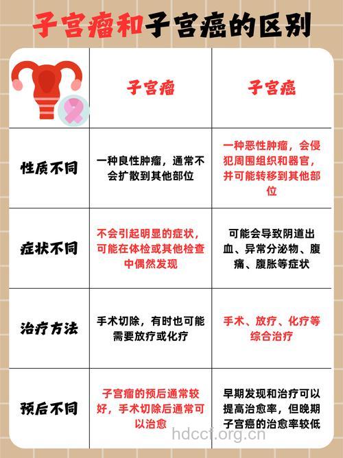 子宫肌瘤与子宫癌有什么不同呢
