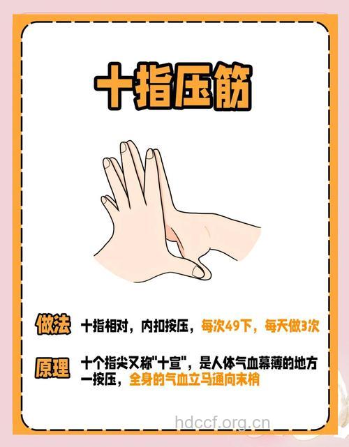 春季养生有道 喝花茶晨练拉拉筋