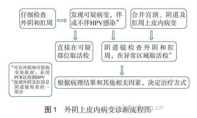 外阴癌的主要表现及治疗方法有哪些