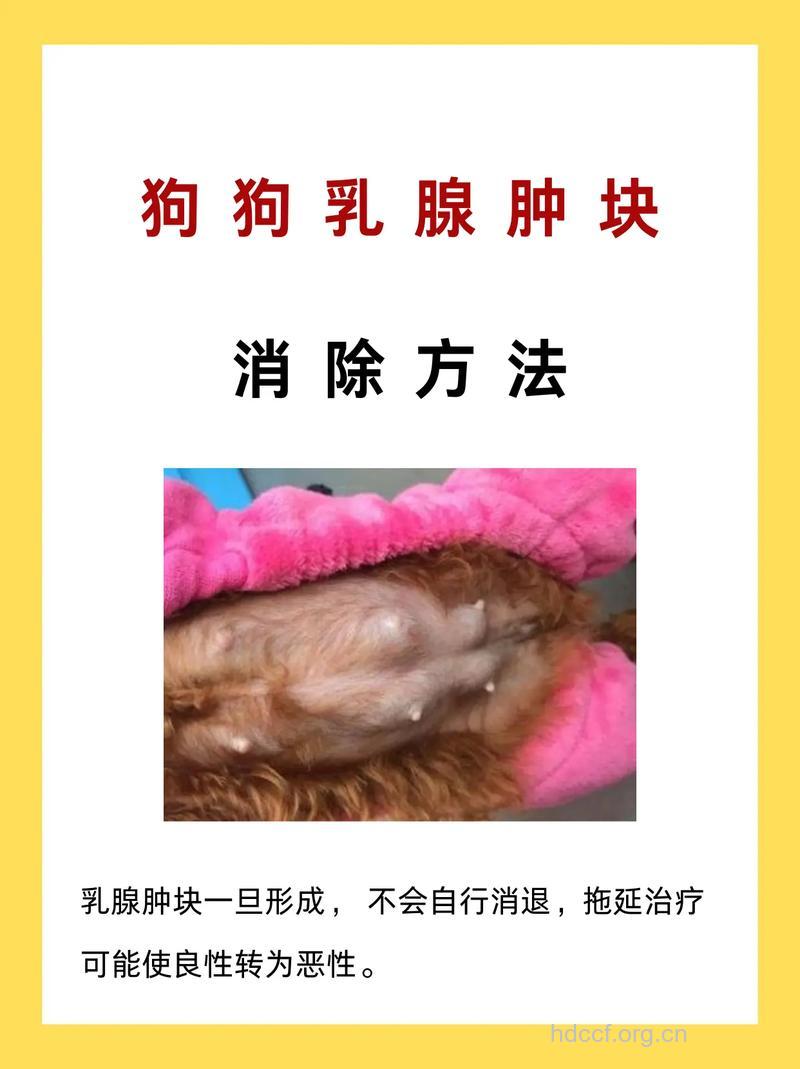 乳腺囊肿是怎么引起的 4个方法保护乳腺