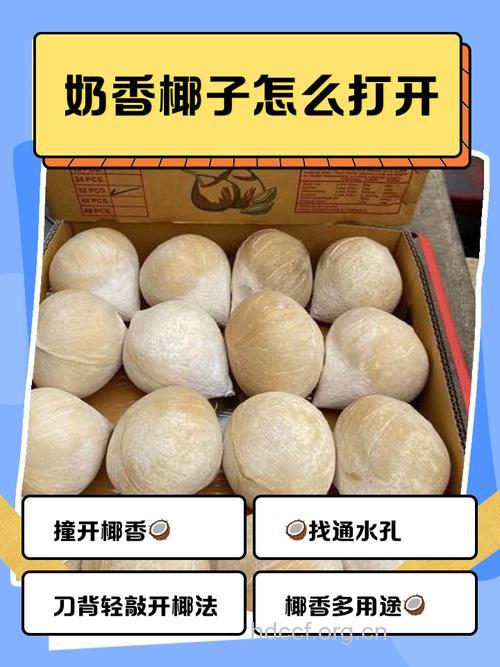 椰汁真的能丰胸吗 推荐靠谱的6种丰胸法