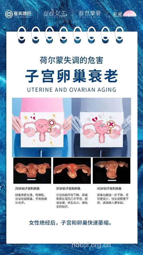 女性内分泌调理小秘方 不看后悔!