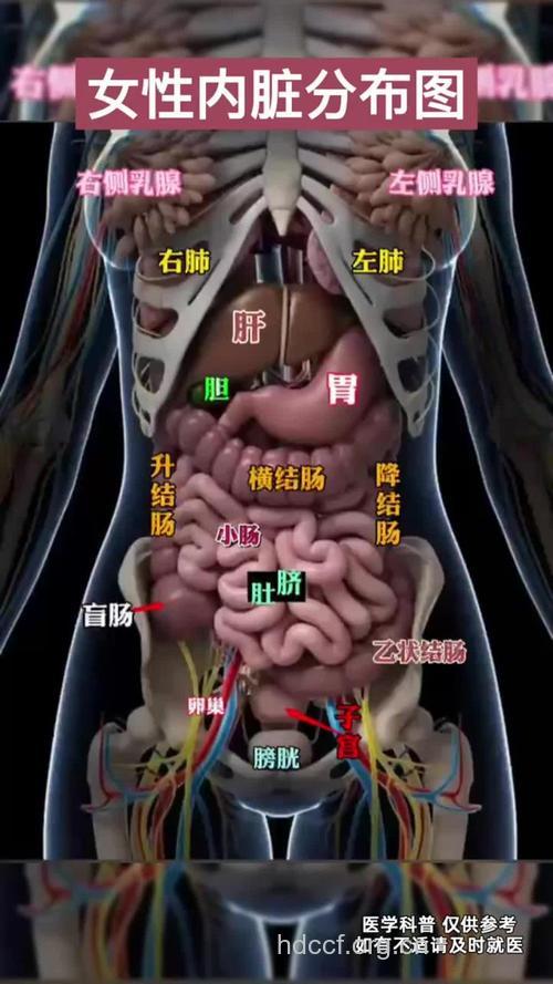 知道吗 女人身体七个部位最脏