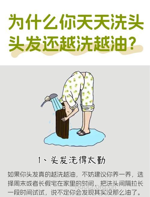 为什么头发越洗越油？多半是陷入这些误区