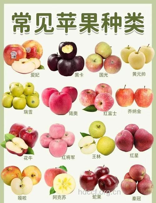 适合孕妇吃的水果前十名 苹果居首位