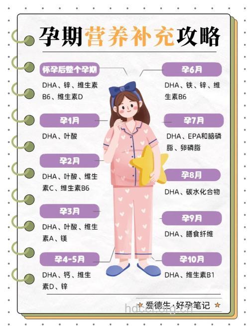 怀孕中期的营养需求