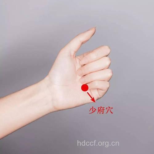 内分泌紊乱调节小妙招 穴位按摩效果更好
