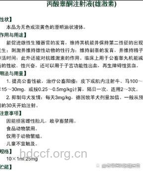 雄性激素中的睾丸酮的作用