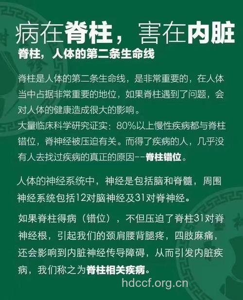 保健专家教你远离脊椎病