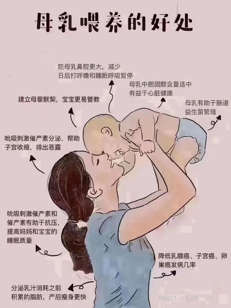 女性产后如何预防乳房下垂