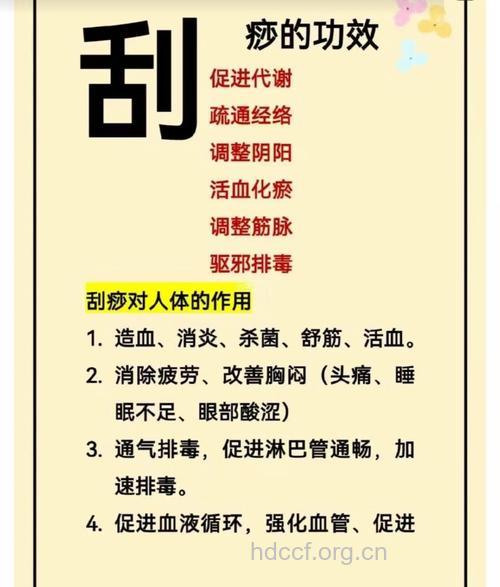 刮痧促进新陈代谢好处多