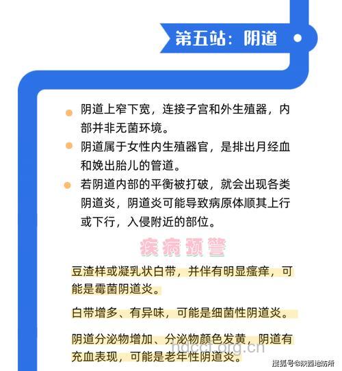 多了解阴道相关常识 能够帮你保护阴道