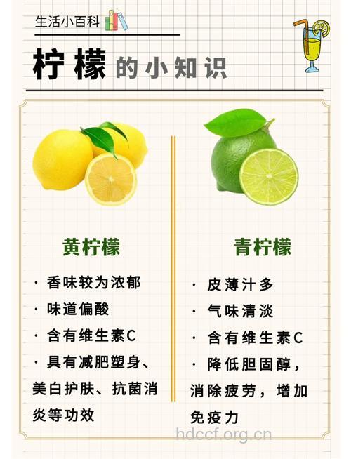 美肤+养生 柠檬美容的四大功效
