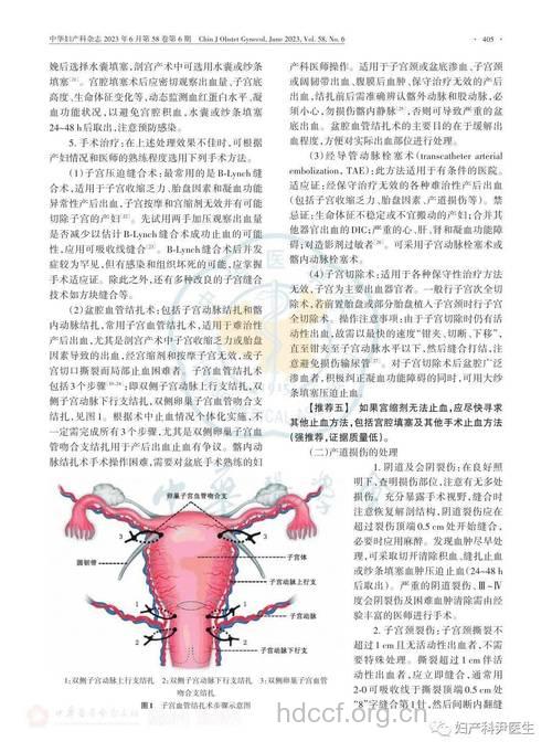 阴道出血预示六大妇科疾病 原因何在