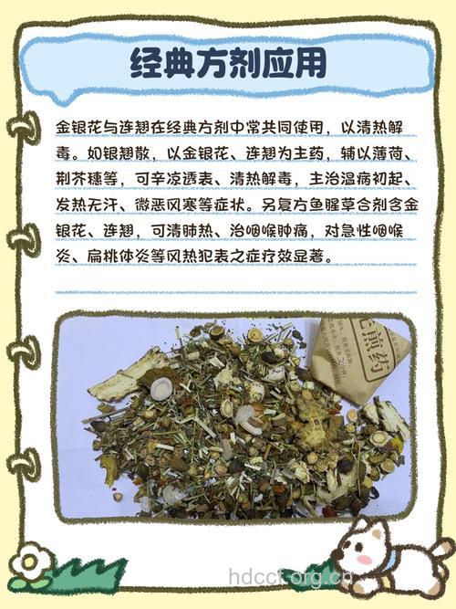 金银花连翘煎服可治疗乳腺炎