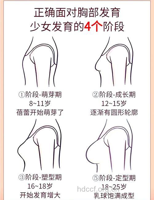 女生乳房发育需经历几个过程