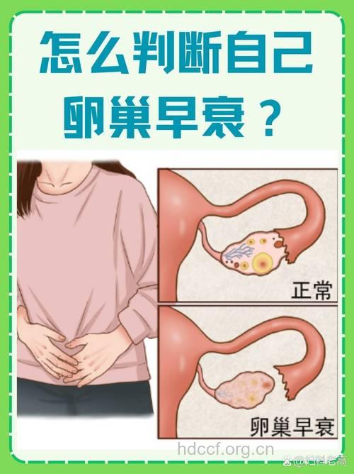 女人失去卵巢会发生什么?你绝对想不到!