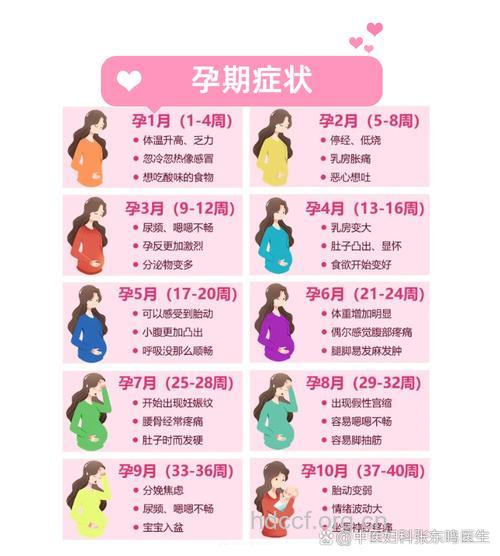 怀孕麻烦多 女性孕期问题手册