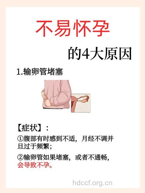 哪些怀孕情况不容易被发现