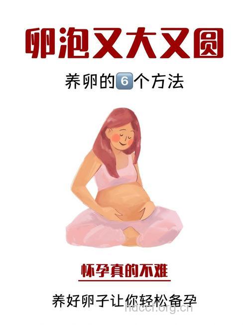 女人一生有多少卵子 6招助女人保养卵子