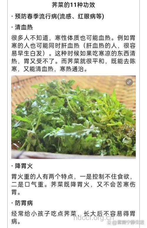 女人吃荠菜的好处 荠菜的营养价值