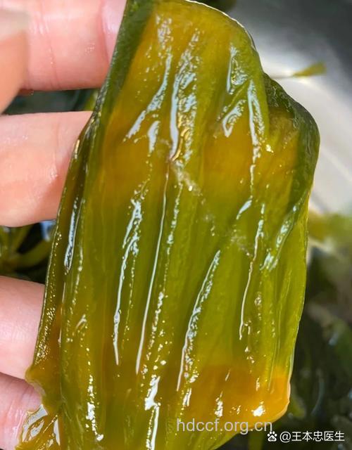 小叶增生硬块饮食 海带大头菜软化结块