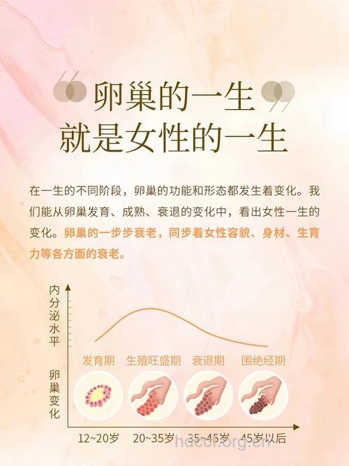 少熬夜多运动 卵巢自然变年轻