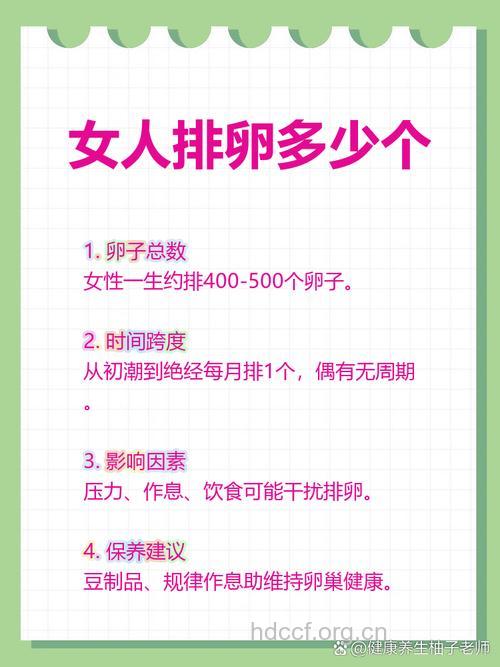 女人一生有多少个卵子 约四百到五百个