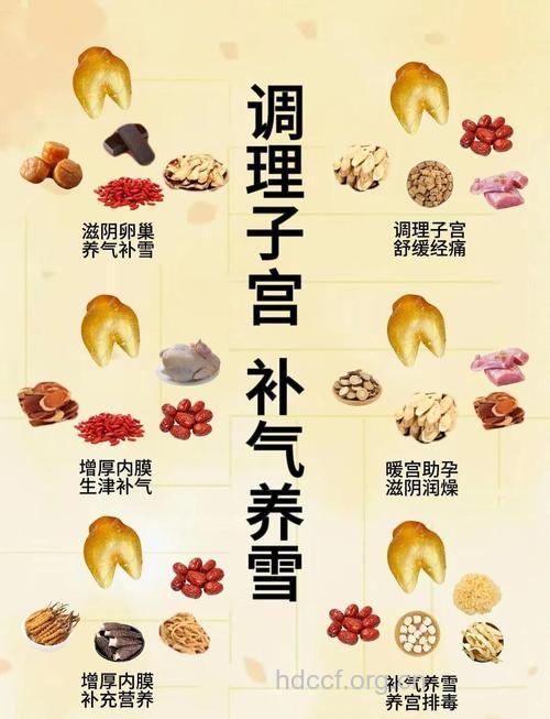 宫寒体质女性吃什么好