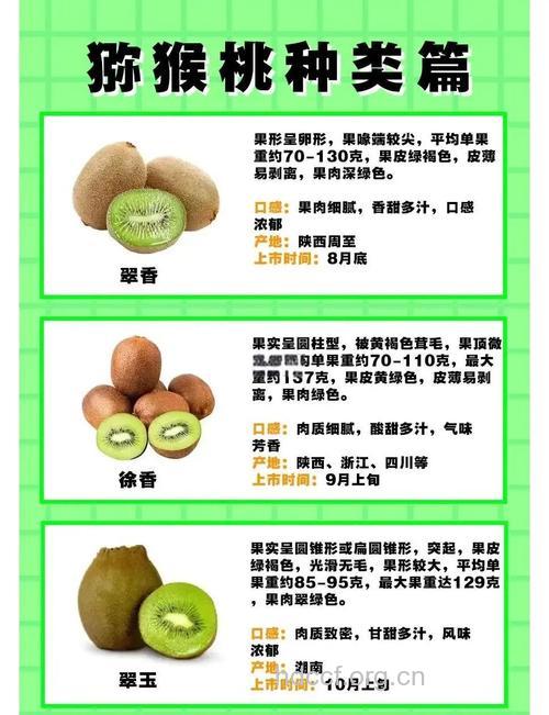 预防乳腺癌首选猕猴桃 6种食物预防乳腺癌