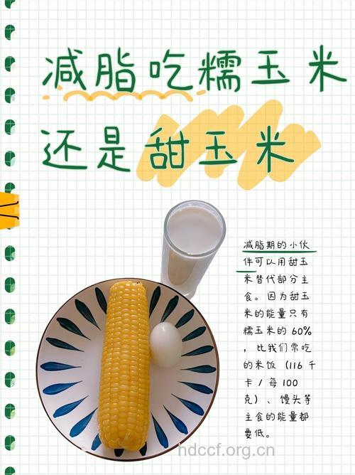 巧用玉米减肥 三种食法速变瘦