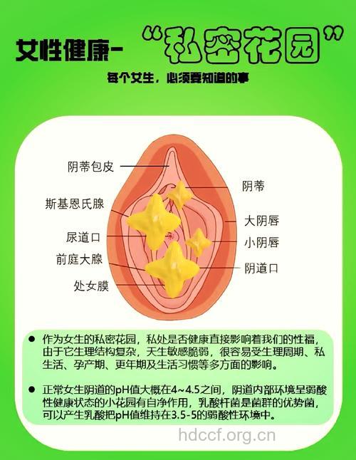 关于女性私处有什么密码