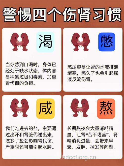 日常六习惯最伤女人肾 有什么解决方法