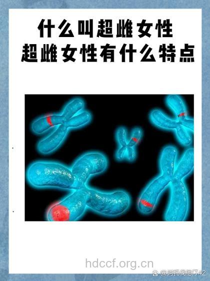 什么叫超雌女性 超雌女性有什么特点