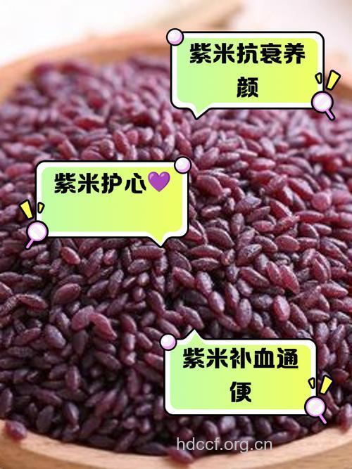 女人吃紫米的好处 紫米的营养价值